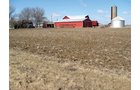 Property photo 5 - 127 Acres Offered in 4 Tracts